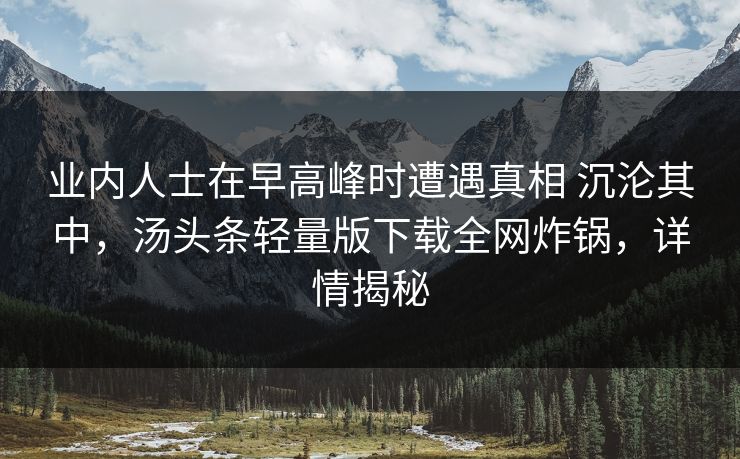 业内人士在早高峰时遭遇真相 沉沦其中，汤头条轻量版下载全网炸锅，详情揭秘