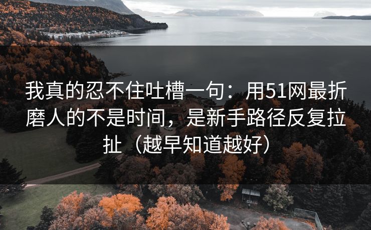 我真的忍不住吐槽一句：用51网最折磨人的不是时间，是新手路径反复拉扯（越早知道越好）